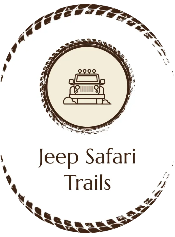 /images/activities/jeep_safari.webp