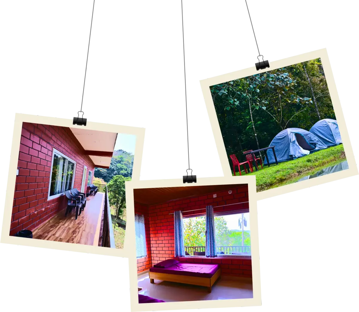 about_section_hero_img